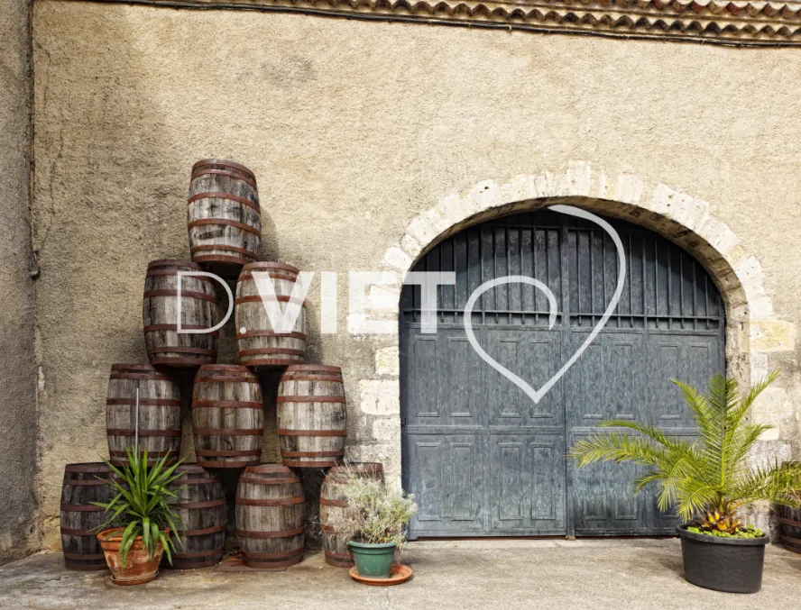 Photo TOULOUSE by VIET - Condom