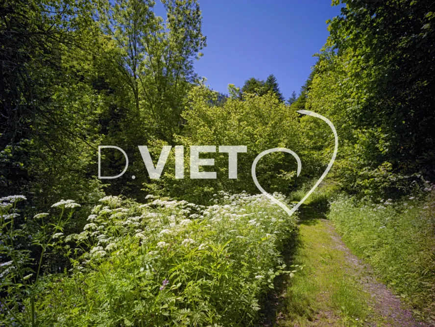 Photo TOULOUSE by VIET - chemin