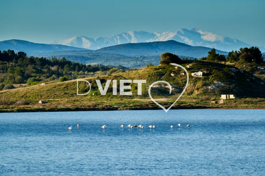 Photo TOULOUSE by VIET - Etangs de Bages et de Sigean