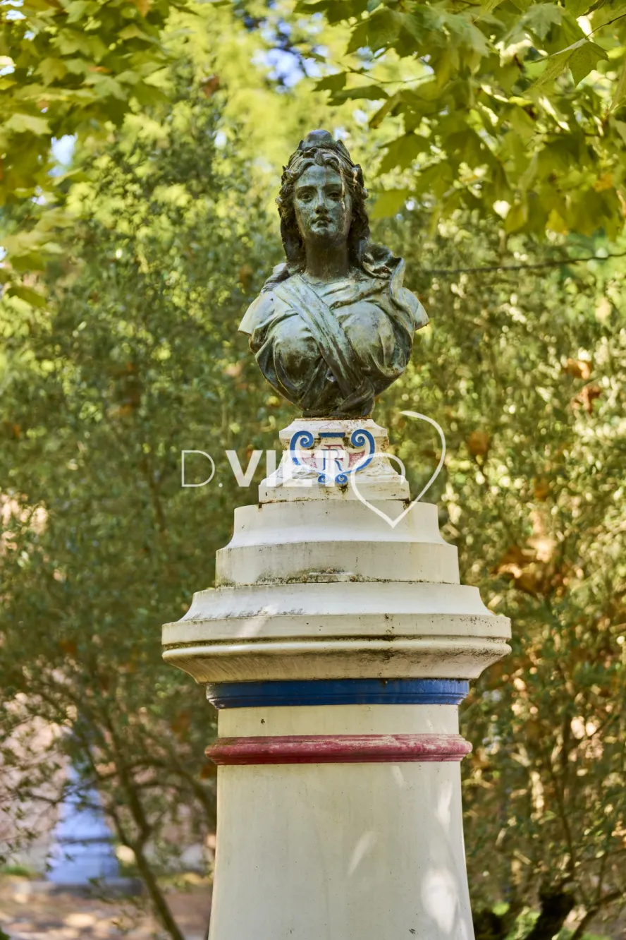 Photo TOULOUSE by VIET - AIGREFEUILLE