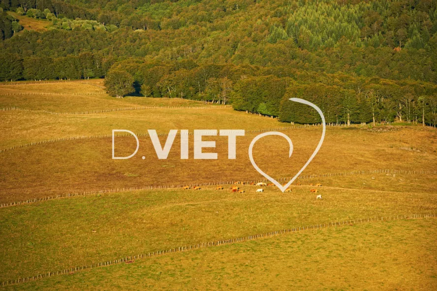 Photo TOULOUSE by VIET - VIET_005947