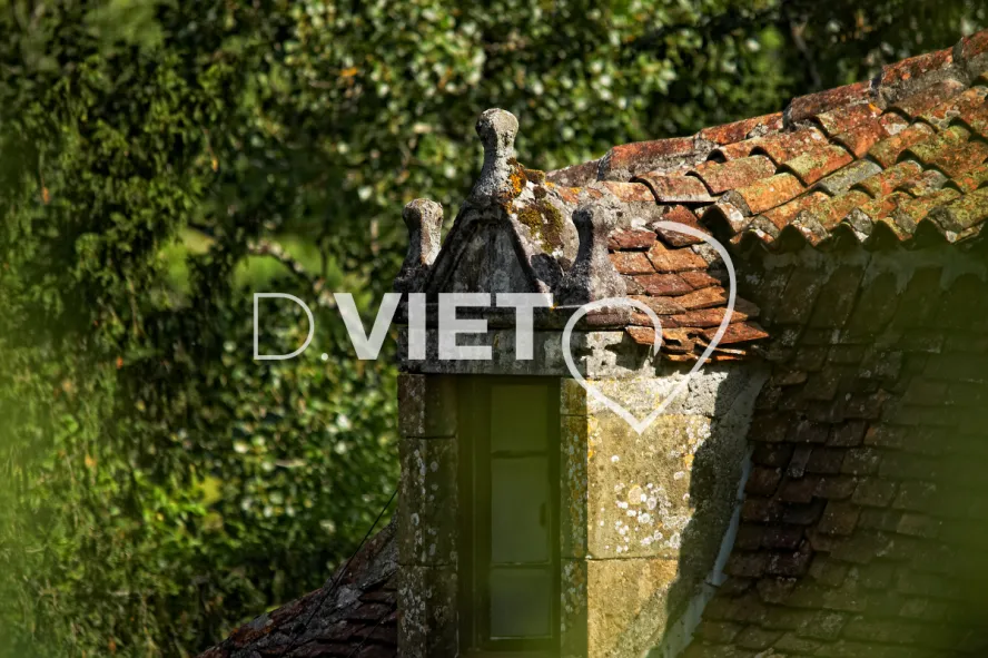 Photo TOULOUSE by VIET - AUTOIRE