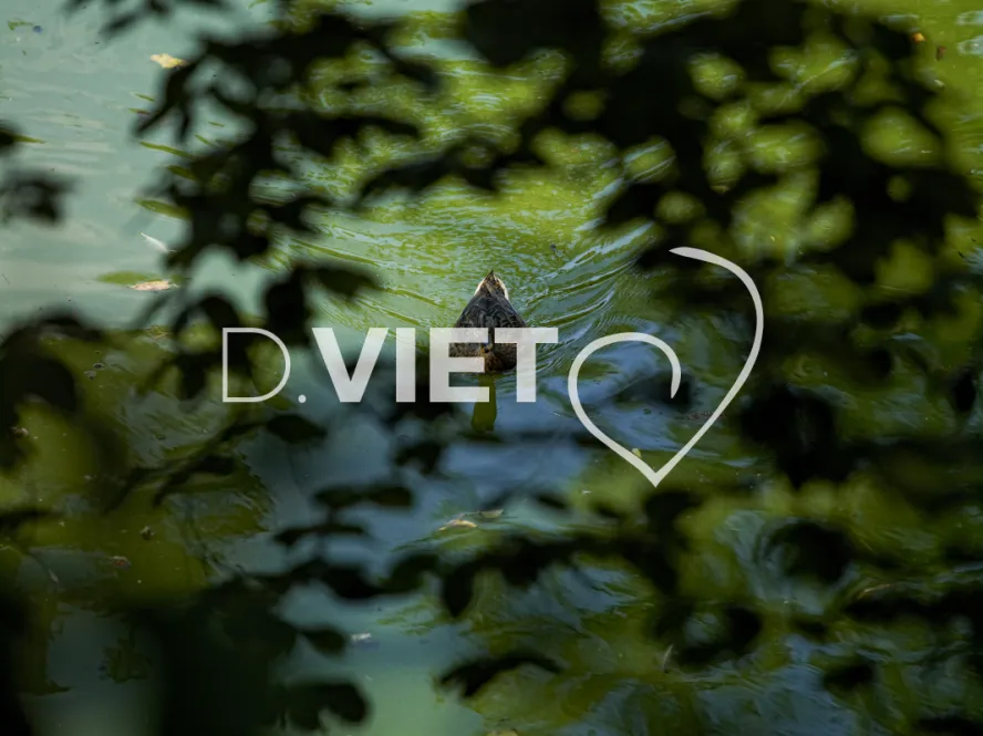 Photo TOULOUSE by VIET - Jardin des plantes