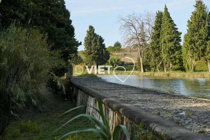 Photo TOULOUSE by VIET - REPRUDE