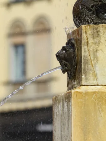 Photo TOULOUSE by VIET - La fontaine de la Trinit?