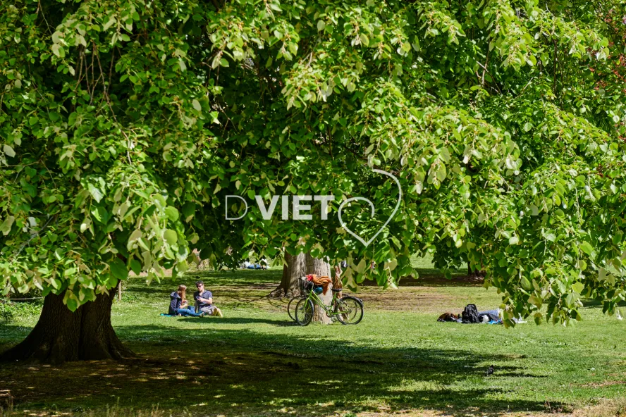 Photo TOULOUSE by VIET - Jardin des plantes