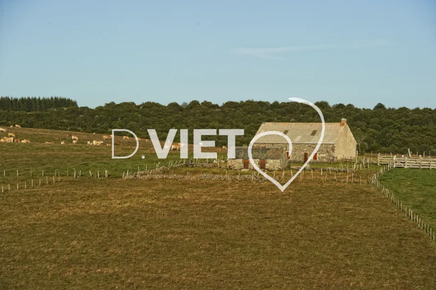 Photo TOULOUSE by VIET - Buron Aubrac