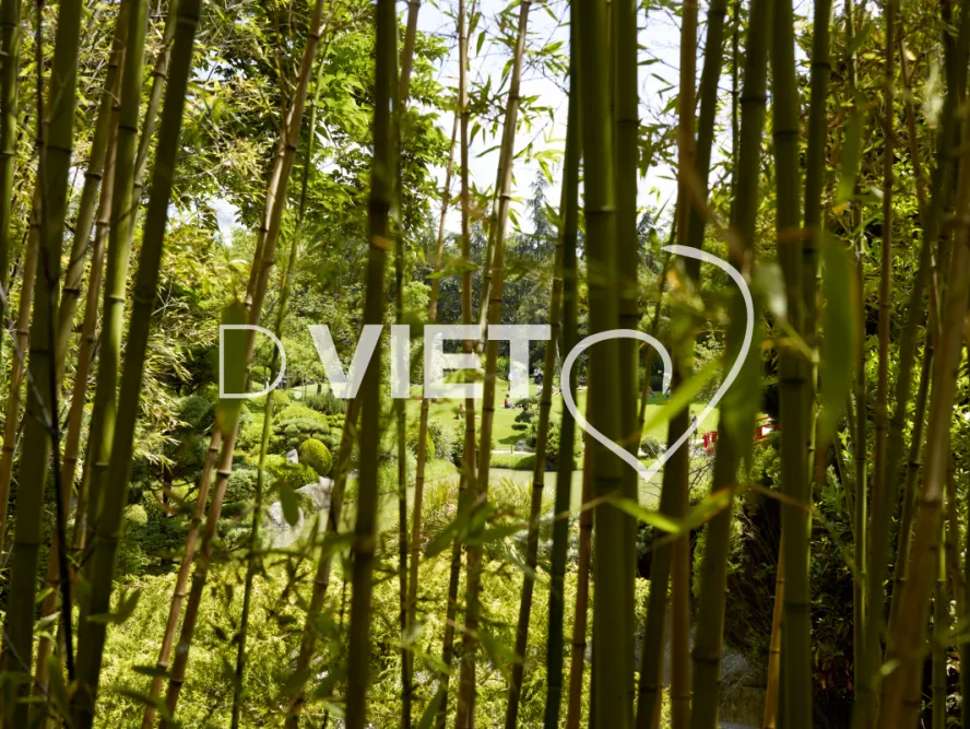 Photo TOULOUSE by VIET - Compans caffarelli, jardin japonais