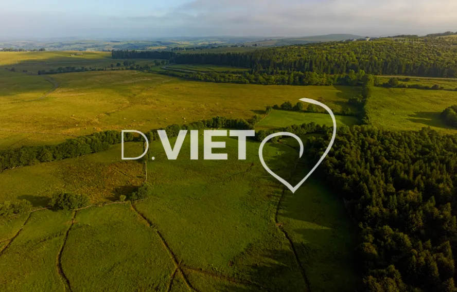 Photo TOULOUSE by VIET - Laguiole