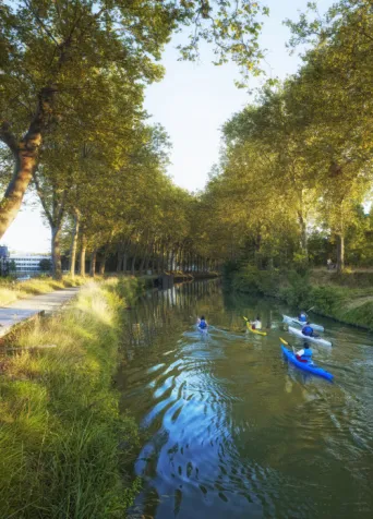 Photo TOULOUSE by VIET - Canal du midi