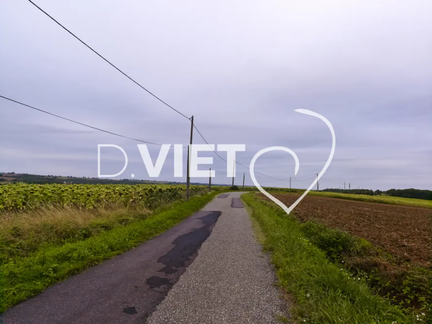 Photo TOULOUSE by VIET - VIET_008034