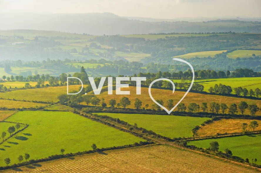 Photo TOULOUSE by VIET - VIET_005924