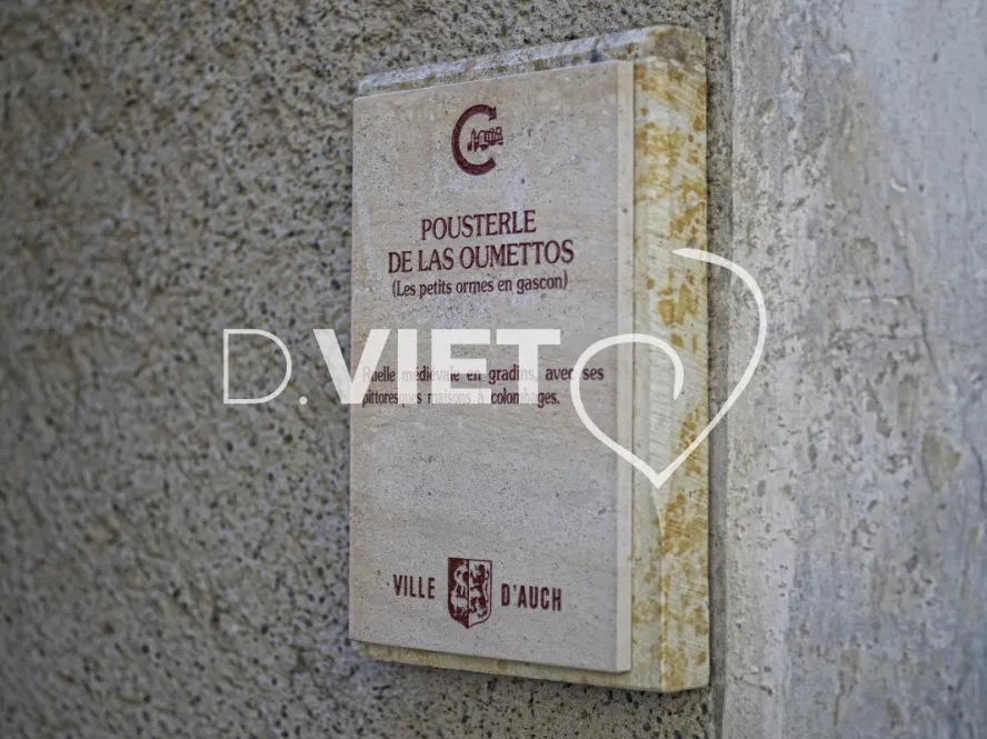 Photo TOULOUSE by VIET - AUCH