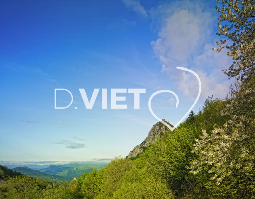 Photo TOULOUSE by VIET - Château de Montsegur