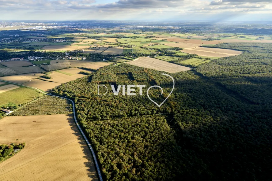 Photo TOULOUSE by VIET - FORET DE BOUCONNE
