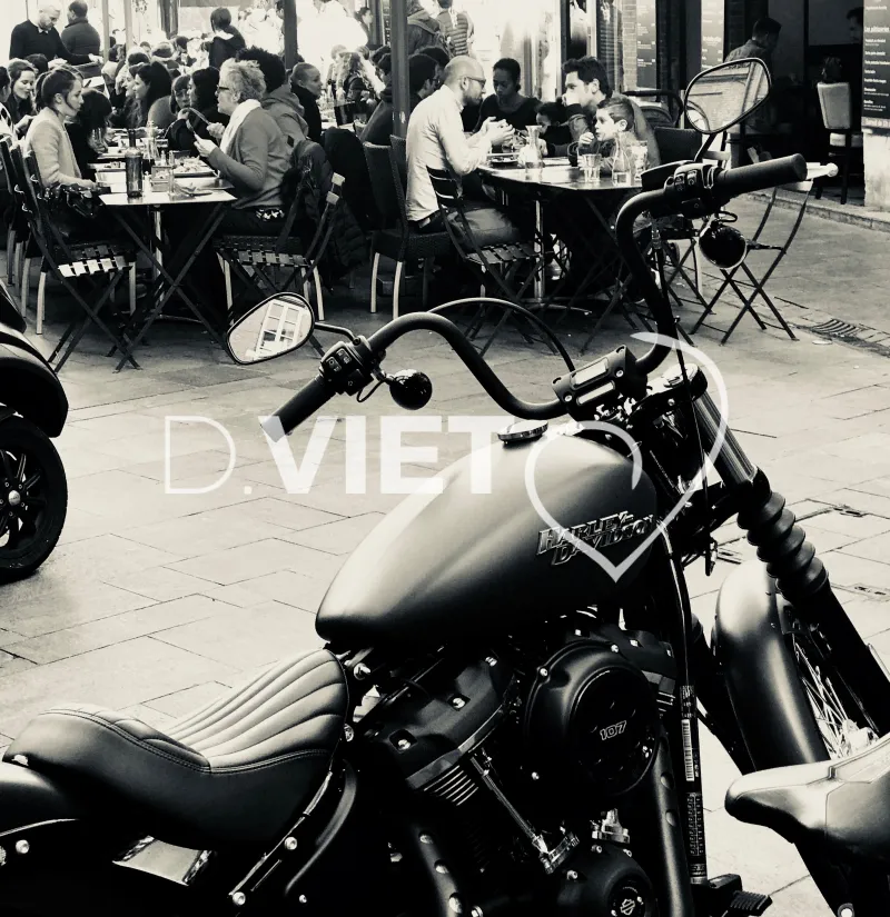 Photo TOULOUSE by VIET - VIET_008498