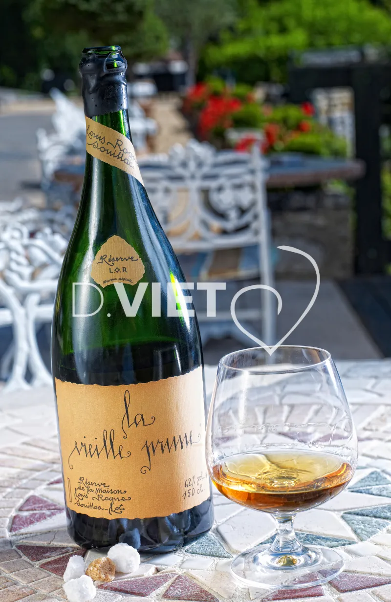 Photo TOULOUSE by VIET - l Ouysse