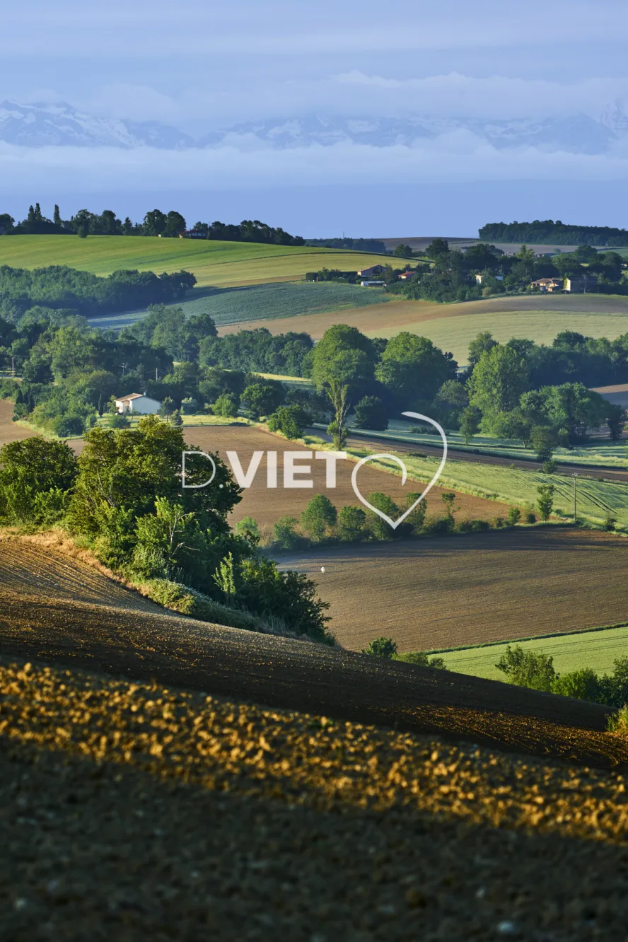 Photo TOULOUSE by VIET - Paysages Toscane