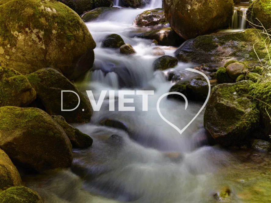 Photo TOULOUSE by VIET - cascade foret