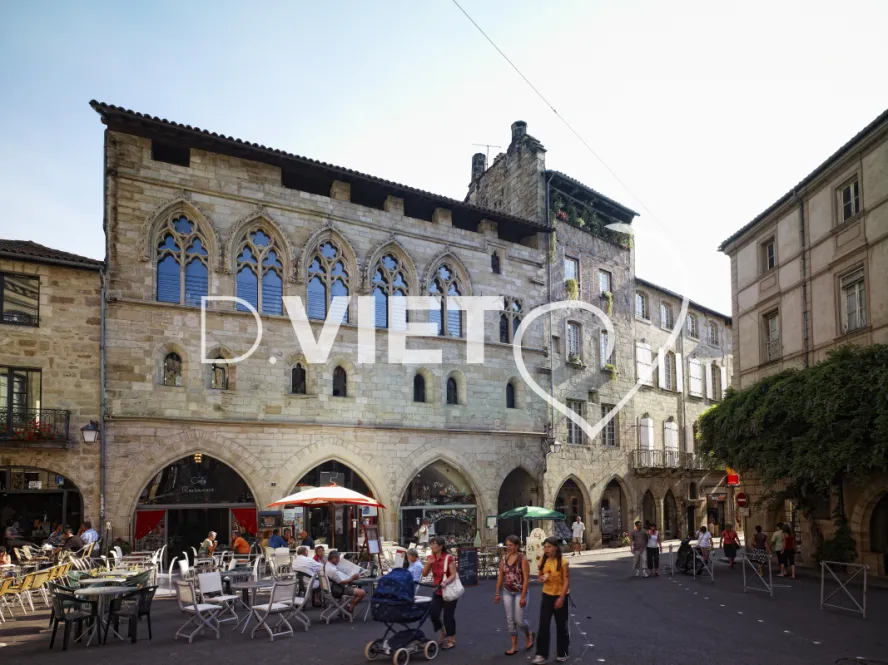 Photo TOULOUSE by VIET - VIET_003162