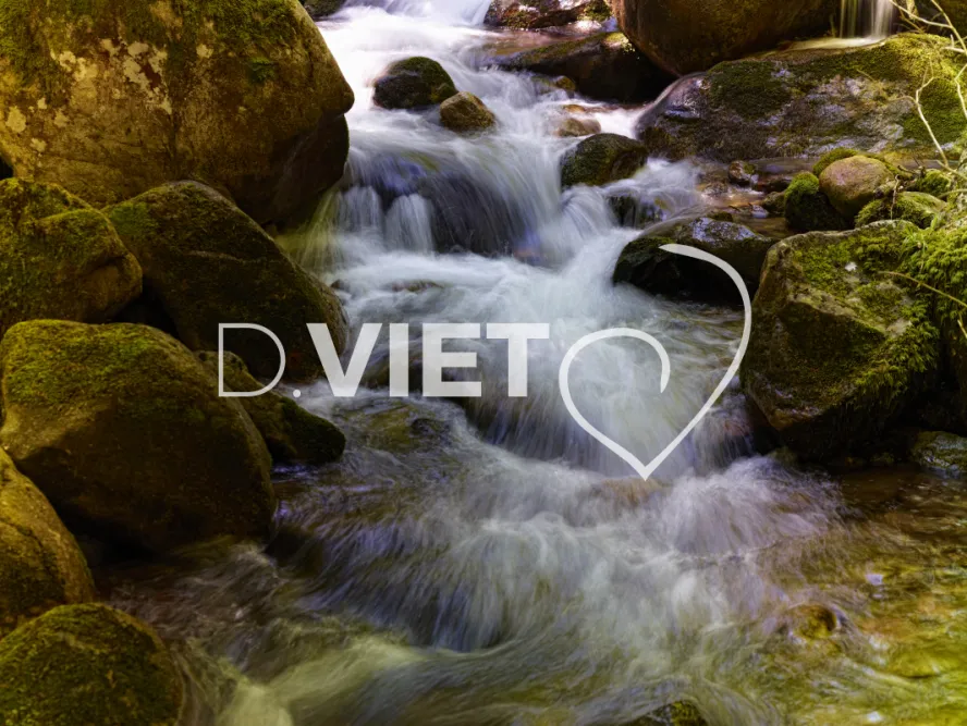 Photo TOULOUSE by VIET - cascade foret