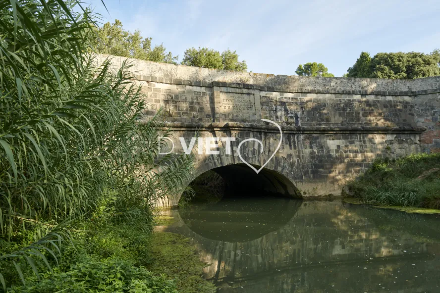 Photo TOULOUSE by VIET - REPRUDE