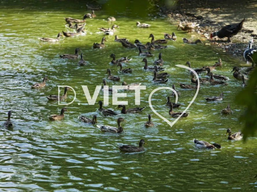 Photo TOULOUSE by VIET - Jardin des plantes