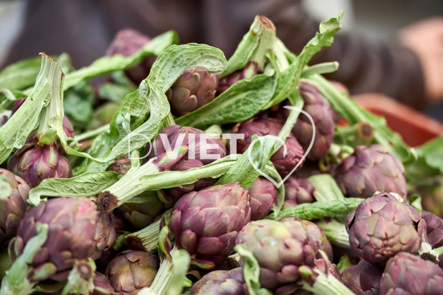 Photo TOULOUSE by VIET - VIET_008913