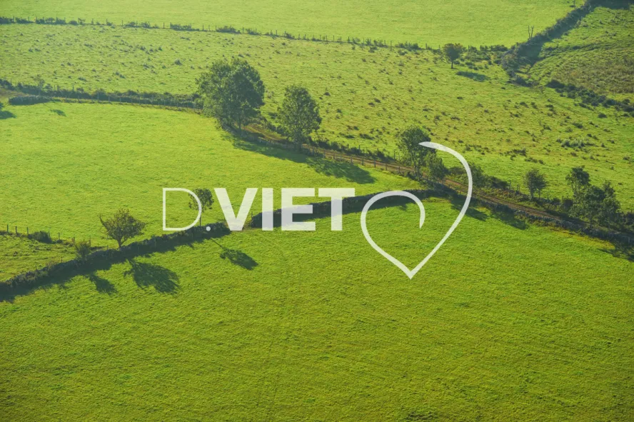 Photo TOULOUSE by VIET - VIET_005923