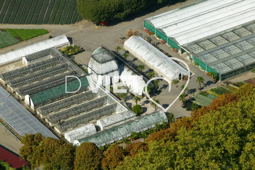 Photo TOULOUSE by VIET - Serre municipale