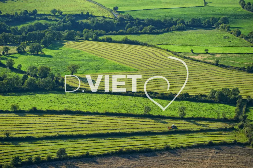 Photo TOULOUSE by VIET - VIET_006008