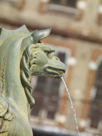 Photo TOULOUSE by VIET - La fontaine Dupuy