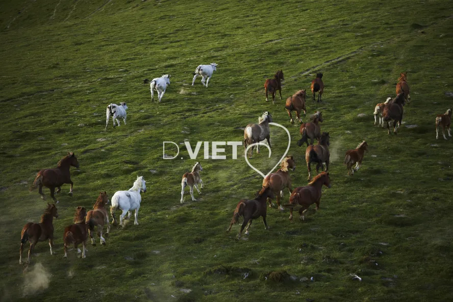 Photo TOULOUSE by VIET - PRES LUCHON