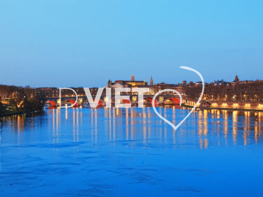 Photo TOULOUSE by VIET - Illuminations du pont Neuf