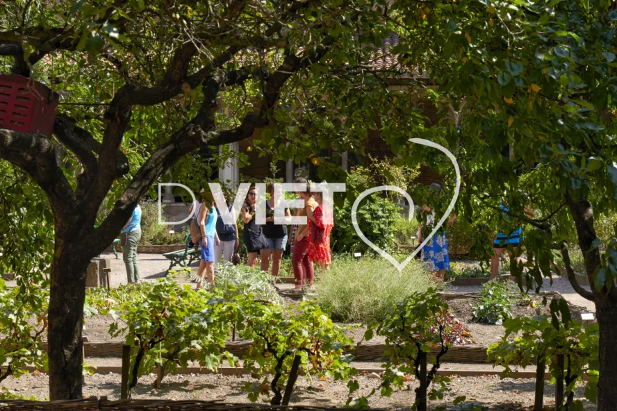 Photo TOULOUSE by VIET - Jardin des Augustins