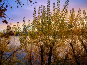 Photo TOULOUSE by VIET - ST CYPRIEN Abbatoirs