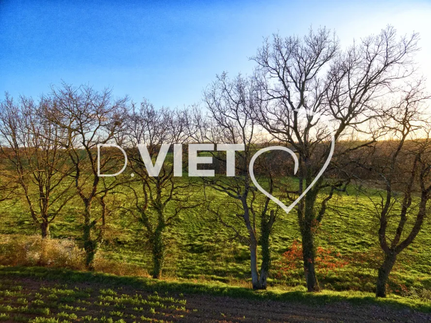 Photo TOULOUSE by VIET - TRACES