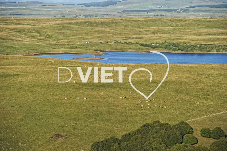 Photo TOULOUSE by VIET - Buron Aubrac