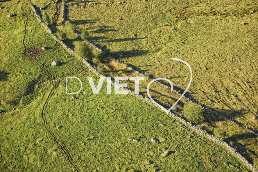 Photo TOULOUSE by VIET - Buron Aubrac