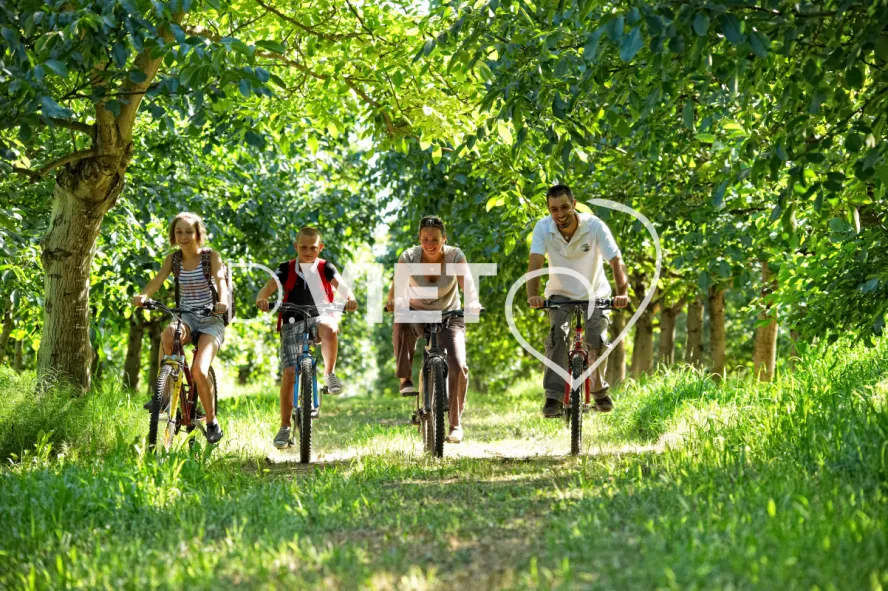 Photo TOULOUSE by VIET - cyclotourisme velo