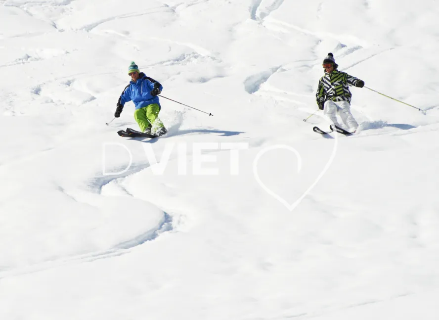 Photo TOULOUSE by VIET - VIET_004891