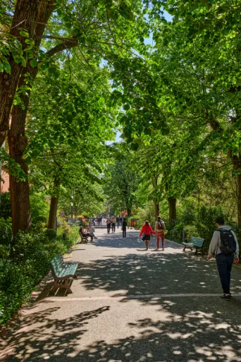 Photo TOULOUSE by VIET - Jardin des plantes