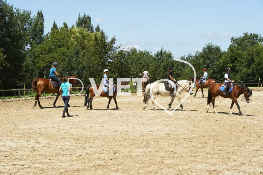 Photo TOULOUSE by VIET - Centre equestre de Combelles