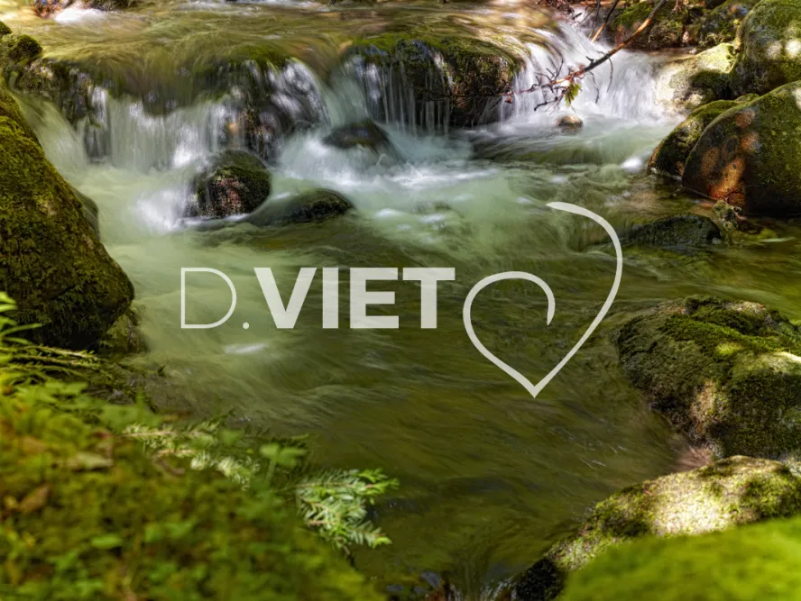 Photo TOULOUSE by VIET - cascade foret