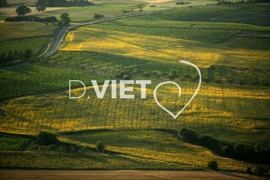 Photo TOULOUSE by VIET - 81ENTRE CORDES ET ALBI N44°00381 E001°59478 ©VIET 361.com