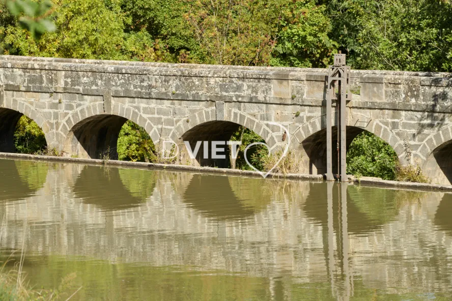 Photo TOULOUSE by VIET - EPANCHOIR DE L’ARGENT DOUBLE