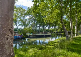 Photo TOULOUSE by VIET - Canal du midi