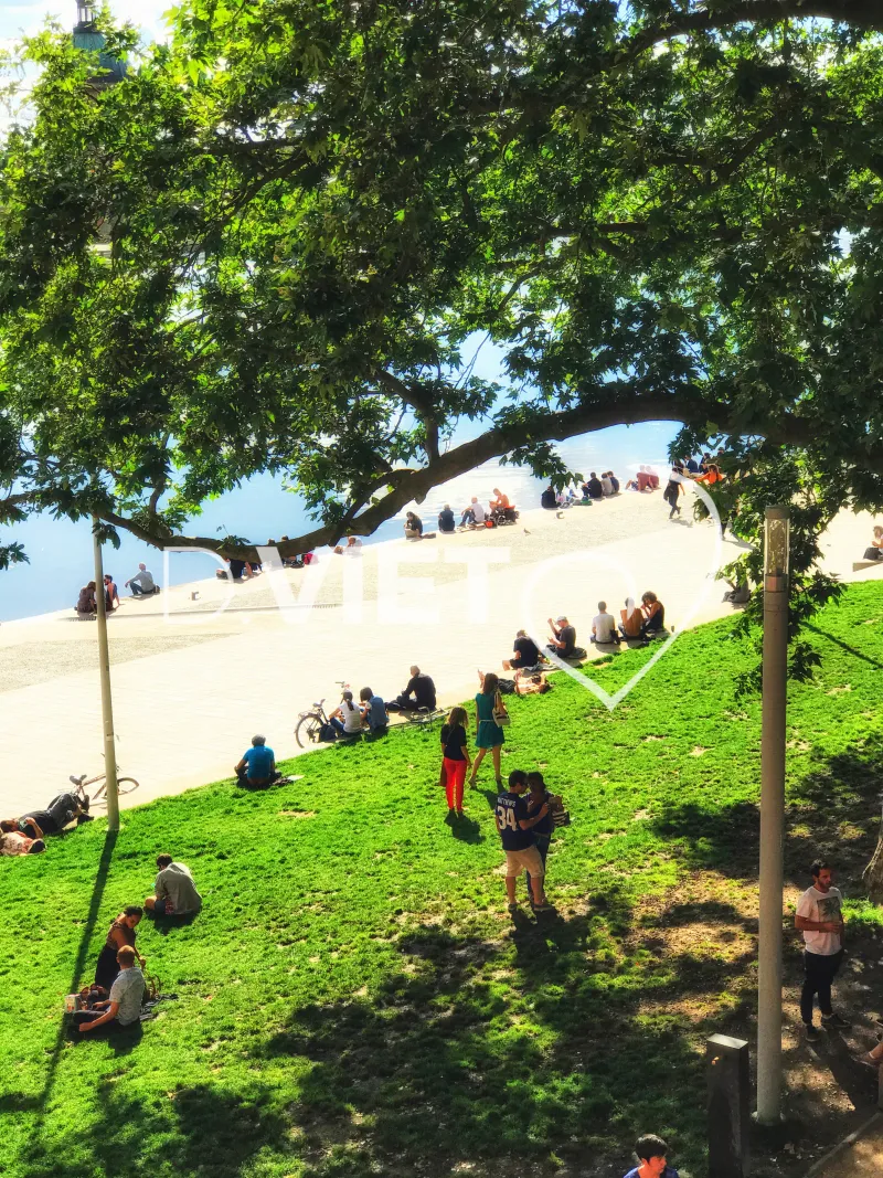 Photo TOULOUSE by VIET - Daurade