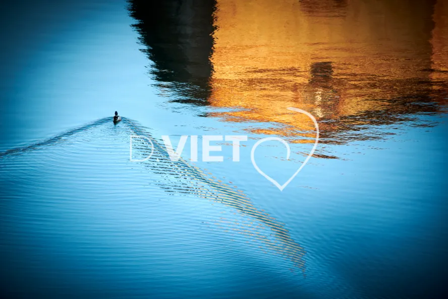 Photo TOULOUSE by VIET - Garonne Les quais