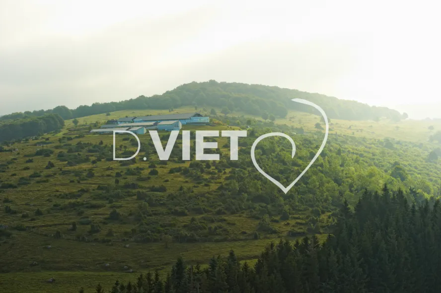 Photo TOULOUSE by VIET - bras